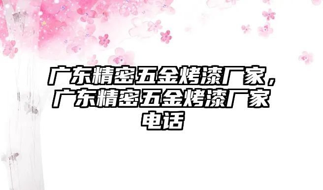 廣東精密五金烤漆廠家，廣東精密五金烤漆廠家電話