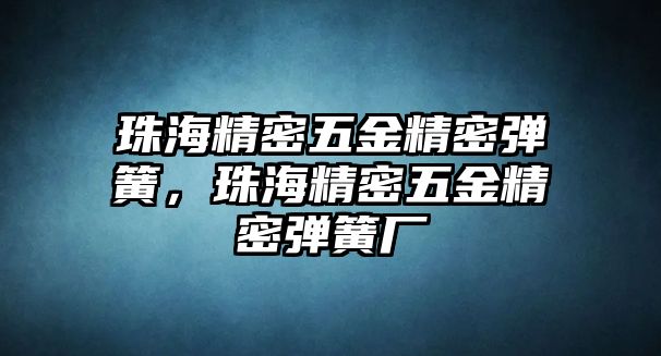 珠海精密五金精密彈簧，珠海精密五金精密彈簧廠