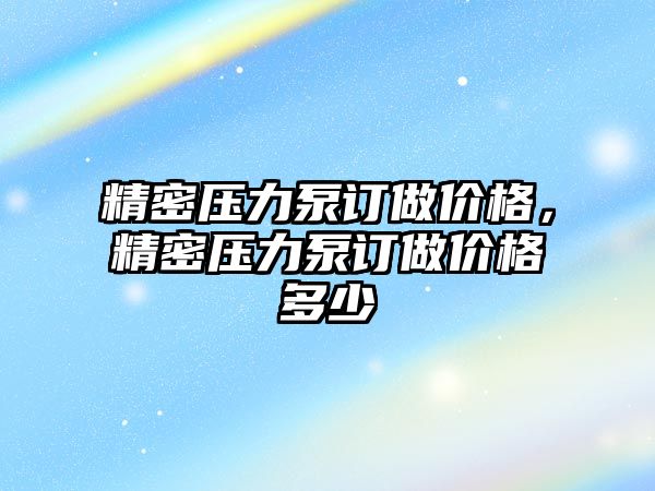 精密壓力泵訂做價格，精密壓力泵訂做價格多少