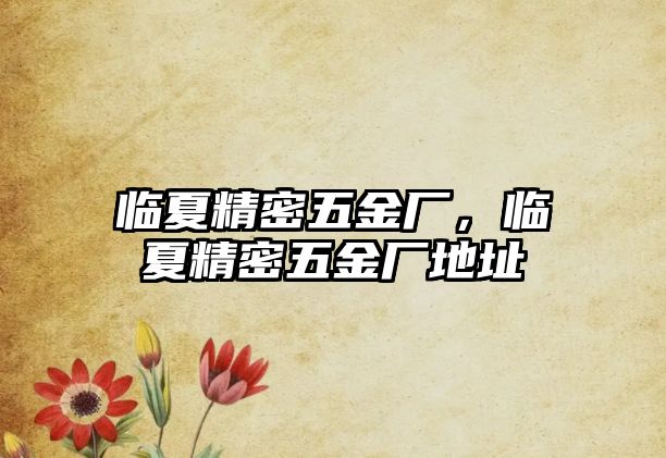 臨夏精密五金廠，臨夏精密五金廠地址