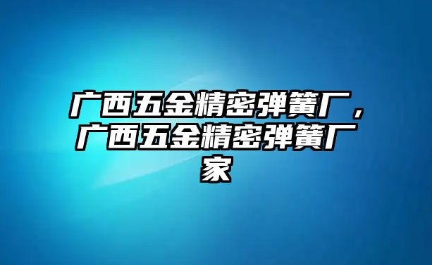 廣西五金精密彈簧廠，廣西五金精密彈簧廠家