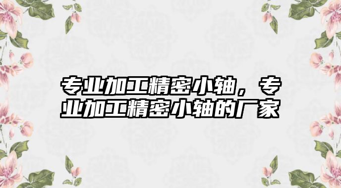 專業(yè)加工精密小軸，專業(yè)加工精密小軸的廠家