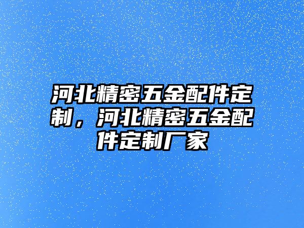 河北精密五金配件定制，河北精密五金配件定制廠家