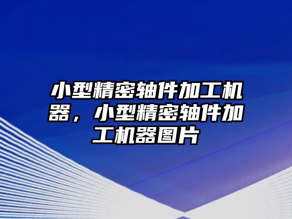 小型精密軸件加工機器，小型精密軸件加工機器圖片