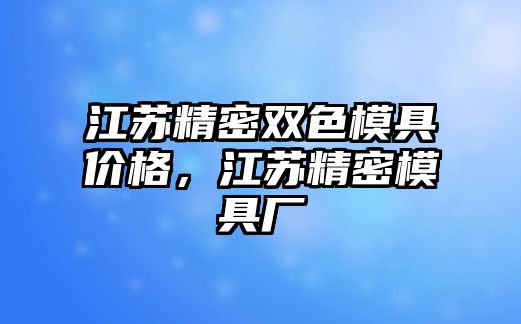 江蘇精密雙色模具價格，江蘇精密模具廠