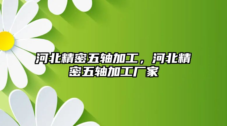 河北精密五軸加工，河北精密五軸加工廠家