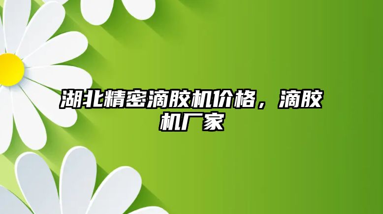 湖北精密滴膠機價格，滴膠機廠家