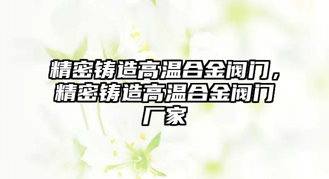 精密鑄造高溫合金閥門，精密鑄造高溫合金閥門廠家