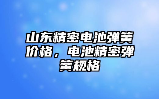 山東精密電池彈簧價格，電池精密彈簧規(guī)格