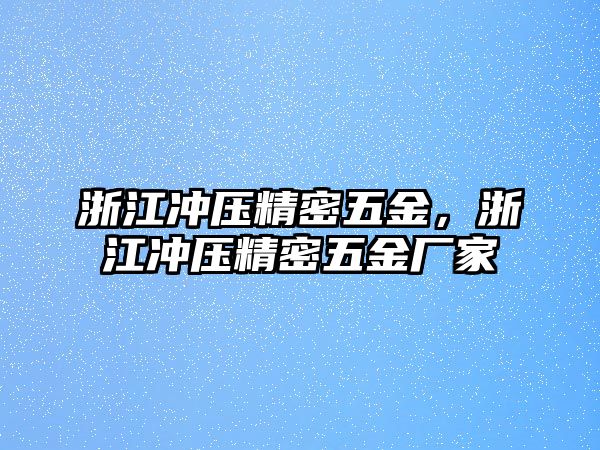 浙江沖壓精密五金，浙江沖壓精密五金廠家