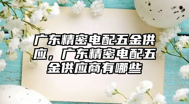 廣東精密電配五金供應(yīng)，廣東精密電配五金供應(yīng)商有哪些