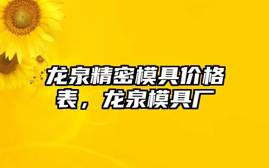 龍泉精密模具價格表，龍泉模具廠