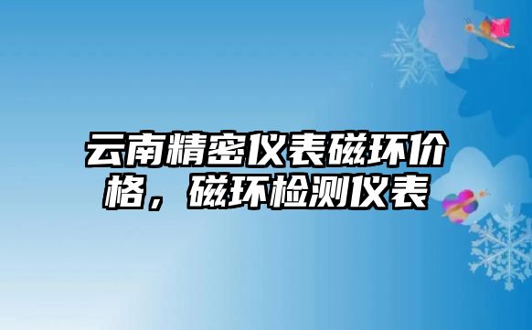 云南精密儀表磁環(huán)價格，磁環(huán)檢測儀表