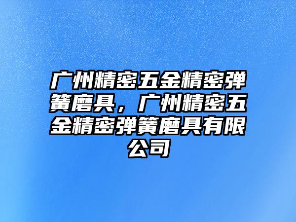 廣州精密五金精密彈簧磨具，廣州精密五金精密彈簧磨具有限公司