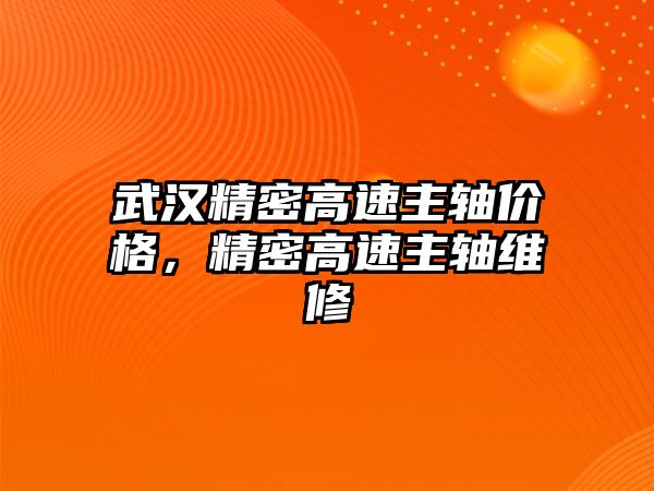 武漢精密高速主軸價(jià)格，精密高速主軸維修