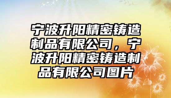 寧波升陽精密鑄造制品有限公司，寧波升陽精密鑄造制品有限公司圖片