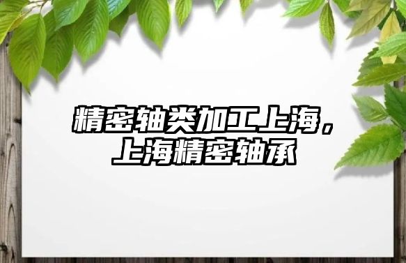 精密軸類加工上海，上海精密軸承