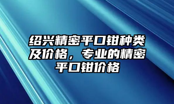 紹興精密平口鉗種類及價格，專業(yè)的精密平口鉗價格