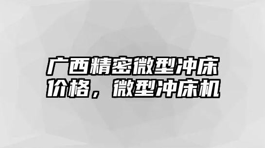 廣西精密微型沖床價(jià)格，微型沖床機(jī)