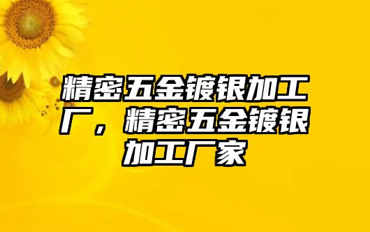 精密五金鍍銀加工廠，精密五金鍍銀加工廠家