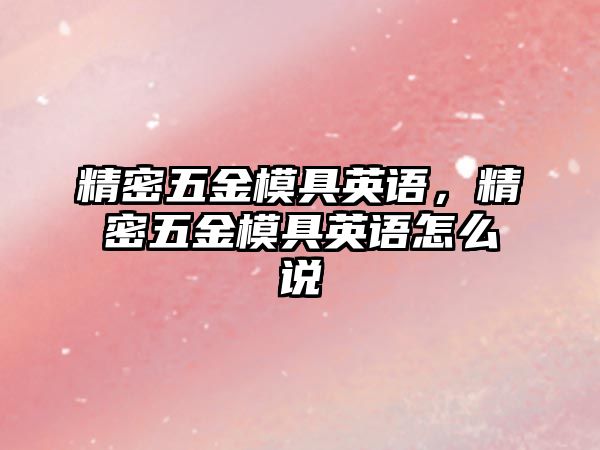 精密五金模具英語，精密五金模具英語怎么說