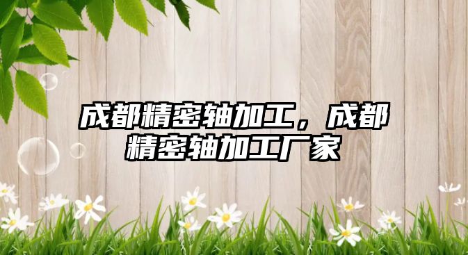 成都精密軸加工，成都精密軸加工廠家