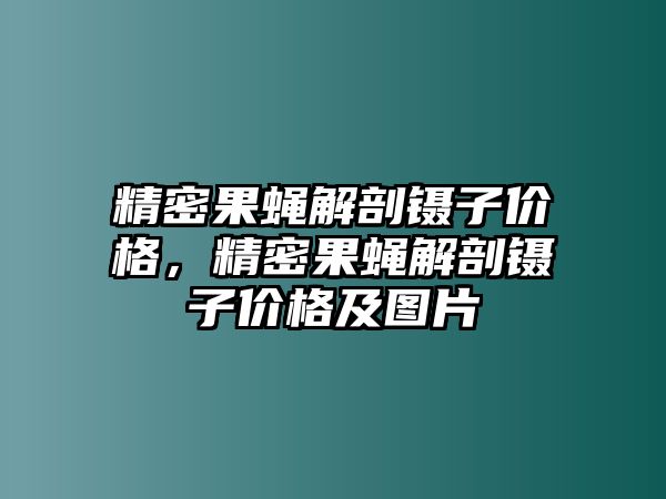 精密果蠅解剖鑷子價(jià)格，精密果蠅解剖鑷子價(jià)格及圖片