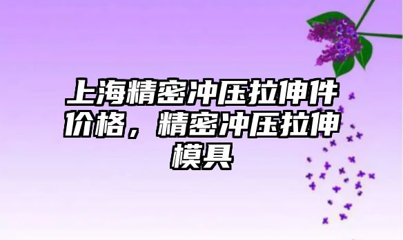 上海精密沖壓拉伸件價格，精密沖壓拉伸模具