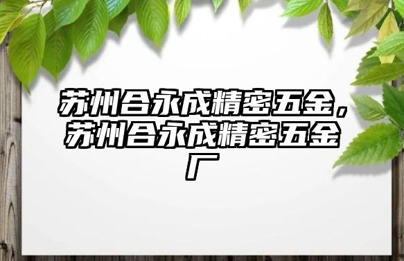 蘇州合永成精密五金，蘇州合永成精密五金廠