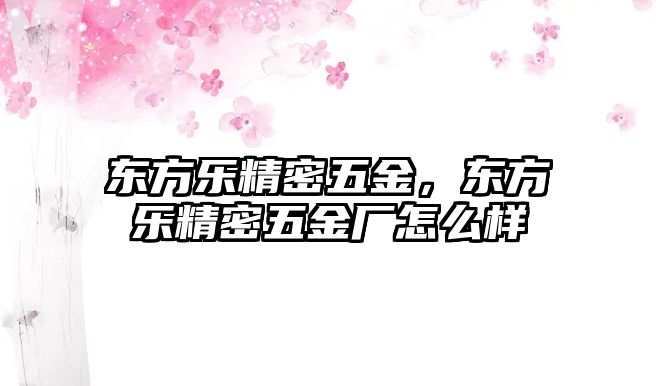 東方樂精密五金，東方樂精密五金廠怎么樣