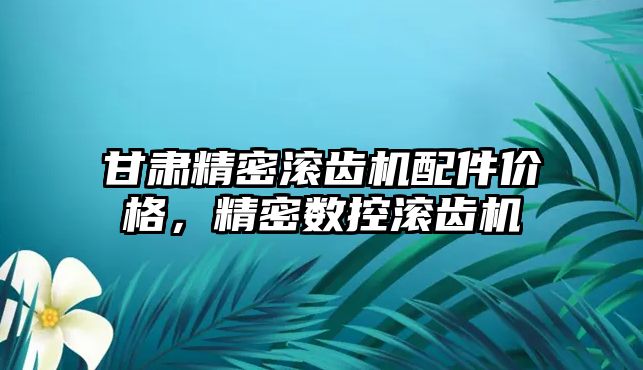 甘肅精密滾齒機配件價格，精密數(shù)控滾齒機