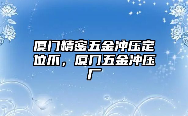 廈門精密五金沖壓定位爪，廈門五金沖壓廠