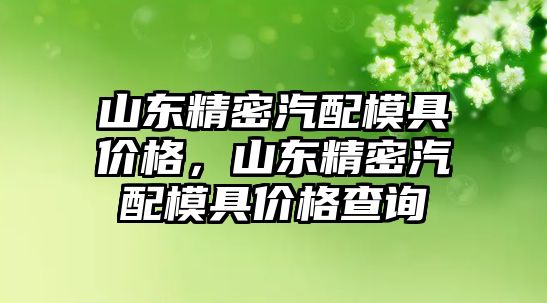 山東精密汽配模具價(jià)格，山東精密汽配模具價(jià)格查詢(xún)