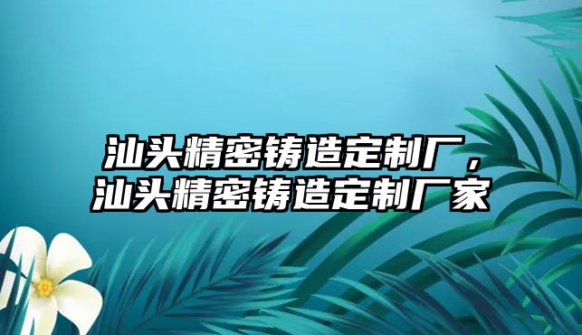 汕頭精密鑄造定制廠，汕頭精密鑄造定制廠家