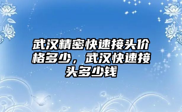 武漢精密快速接頭價(jià)格多少，武漢快速接頭多少錢