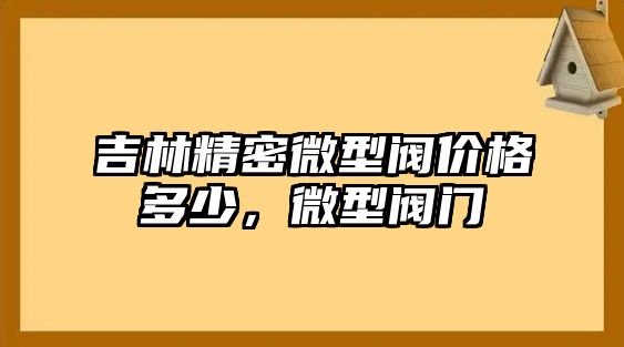 吉林精密微型閥價格多少，微型閥門