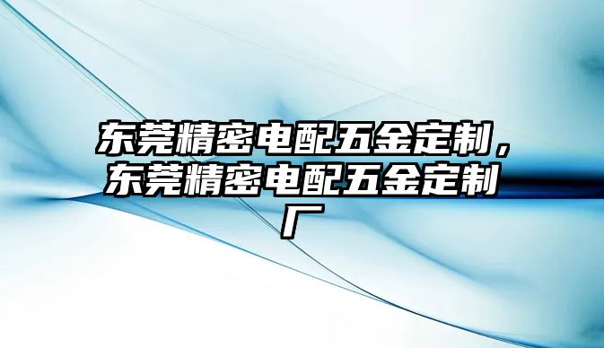 東莞精密電配五金定制，東莞精密電配五金定制廠