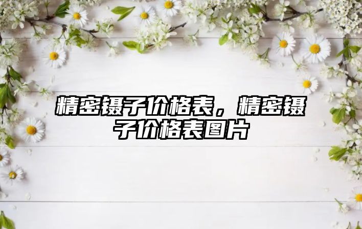 精密鑷子價格表，精密鑷子價格表圖片