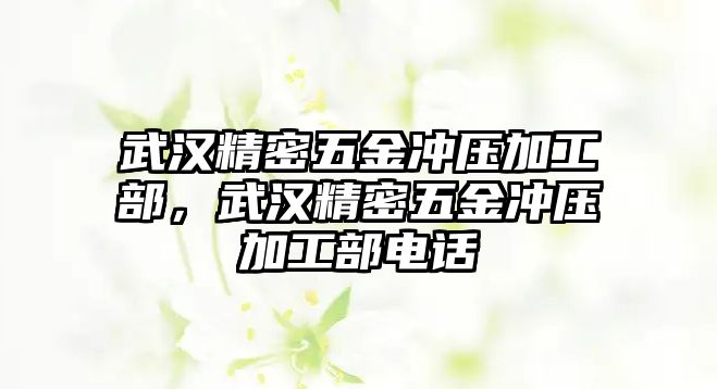 武漢精密五金沖壓加工部，武漢精密五金沖壓加工部電話