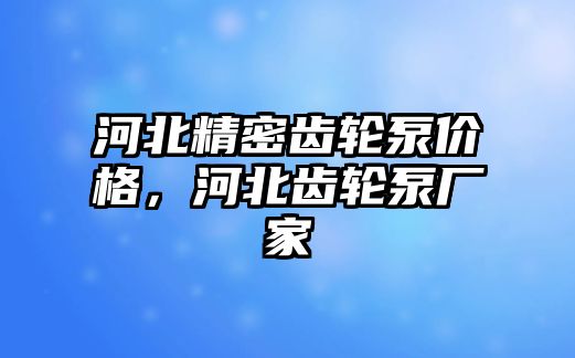 河北精密齒輪泵價格，河北齒輪泵廠家