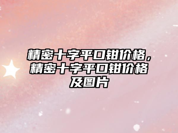 精密十字平口鉗價格，精密十字平口鉗價格及圖片