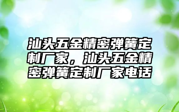 汕頭五金精密彈簧定制廠家，汕頭五金精密彈簧定制廠家電話