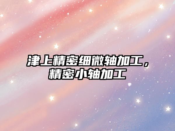 津上精密細(xì)微軸加工，精密小軸加工