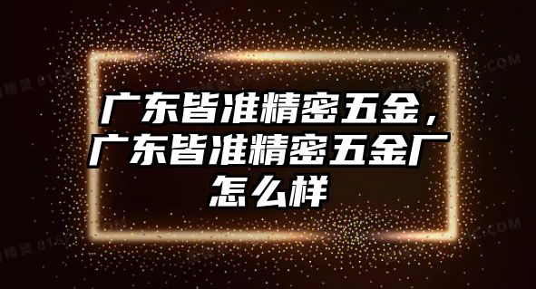 廣東皆準(zhǔn)精密五金，廣東皆準(zhǔn)精密五金廠怎么樣