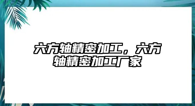 六方軸精密加工，六方軸精密加工廠家