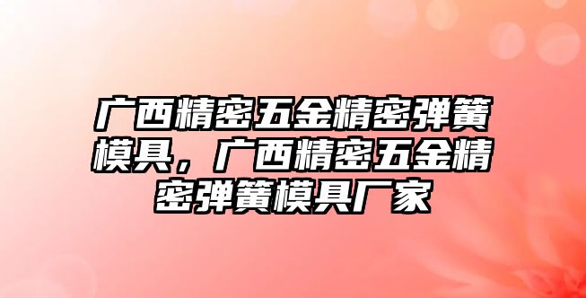 廣西精密五金精密彈簧模具，廣西精密五金精密彈簧模具廠家