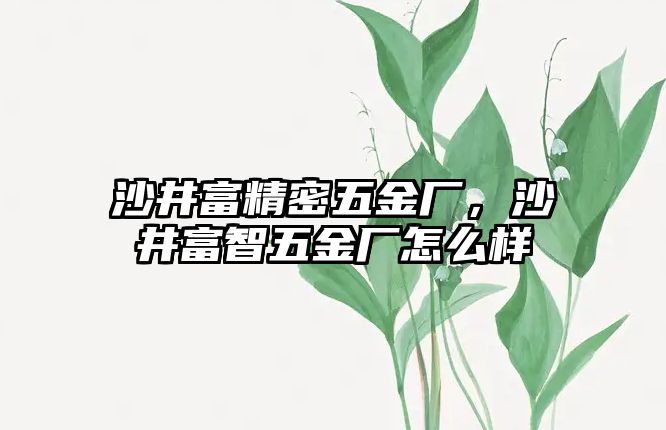 沙井富精密五金廠，沙井富智五金廠怎么樣