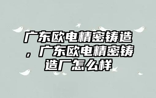 廣東歐電精密鑄造，廣東歐電精密鑄造廠怎么樣