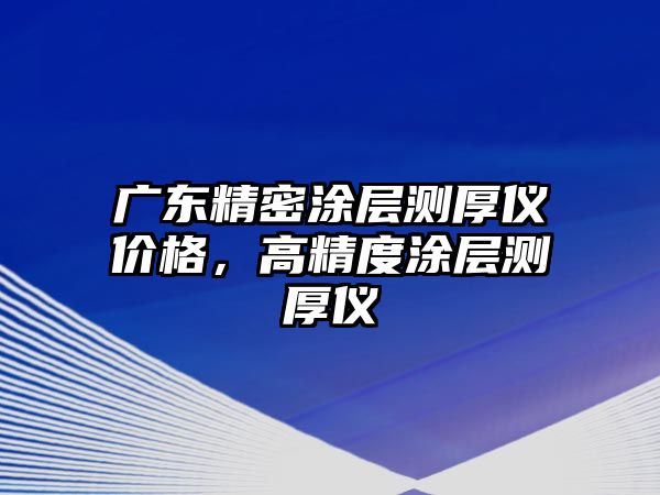 廣東精密涂層測(cè)厚儀價(jià)格，高精度涂層測(cè)厚儀