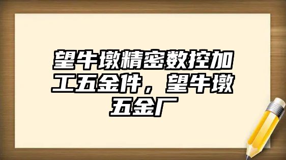 望牛墩精密數(shù)控加工五金件，望牛墩五金廠